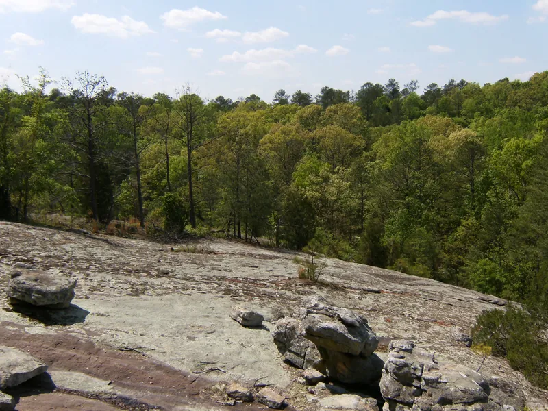 Granite outcrop and pine woods at Panola Mountain State Park