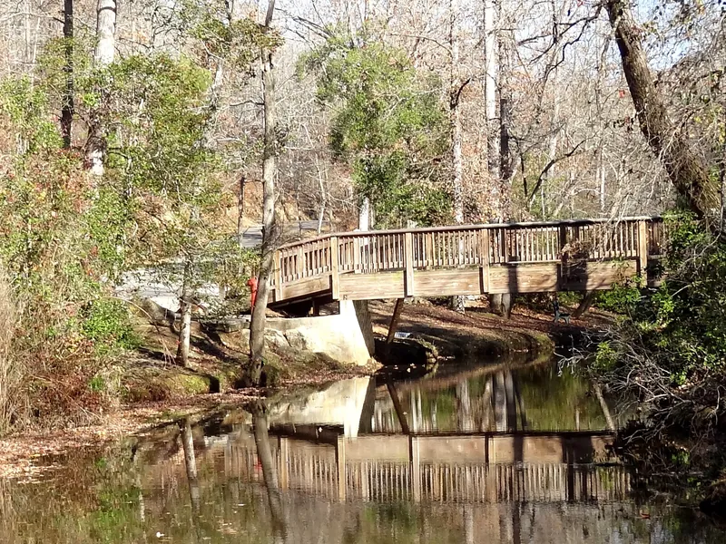 A wooden footbridge over a creek in winter woods at Victoria Bryant State Park