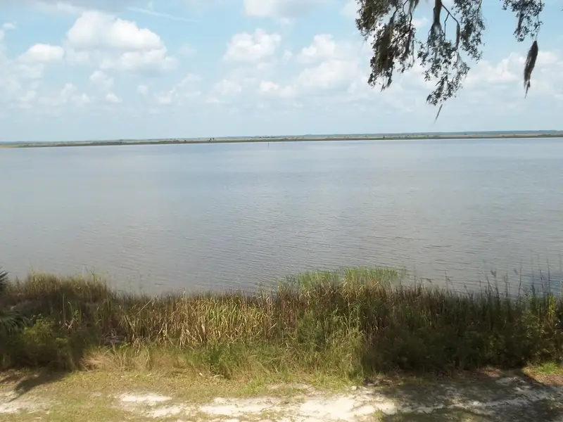 Marsh grass along the Great Ogeechee River at Fort McAllister