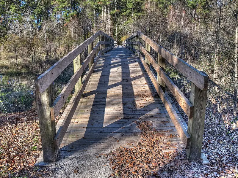 Wooden footbridge on a trail at George T. Bagby State Park