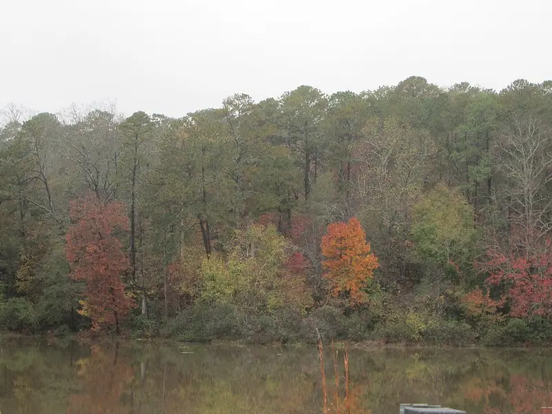 Fall color across Lake Brantley at Hard Labor Creek State Park