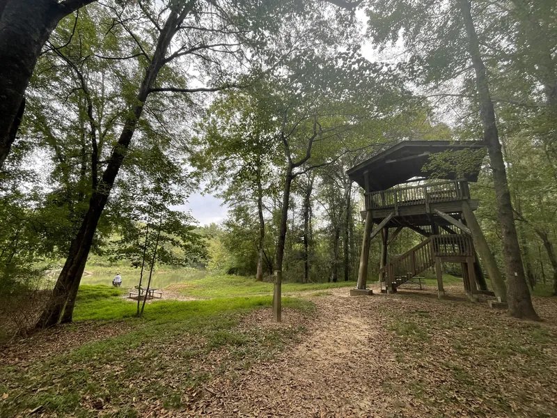 A wooden observation platform among trees at Chattahoochee Bend State Park