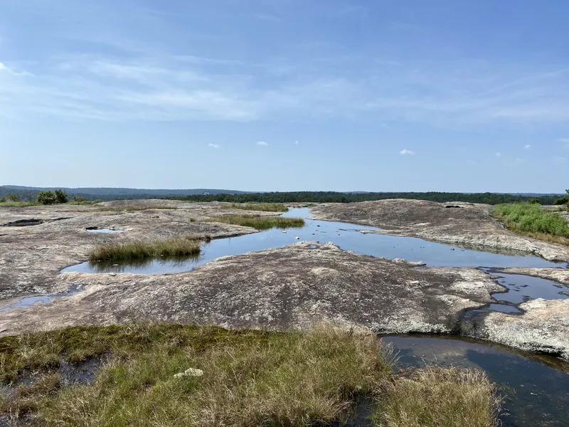 Rain pools on the bare granite of Arabia Mountain under a blue sky