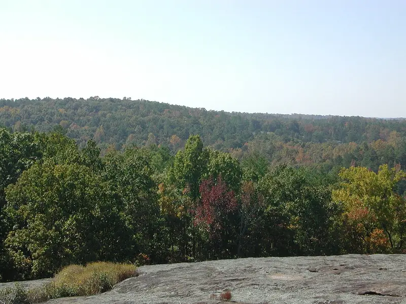 View across the forested Piedmont from the granite peak of Panola Mountain
