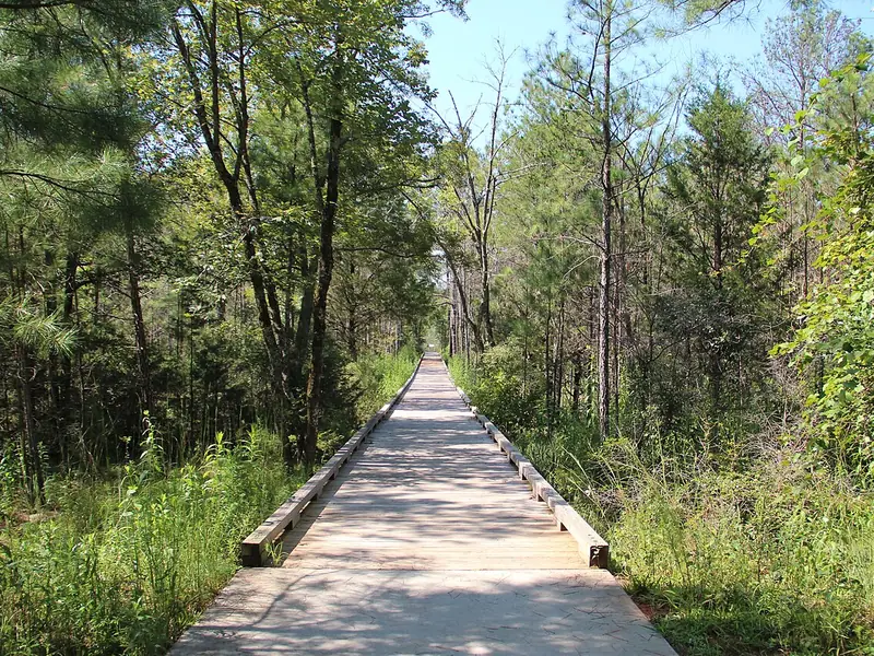 Boardwalk trail to the viewing platform at Panola Mountain State Park