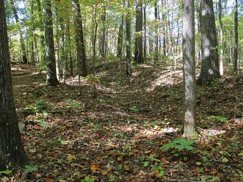 Civil War earthworks in the forest at Pickett&rsquo;s Mill Battlefield