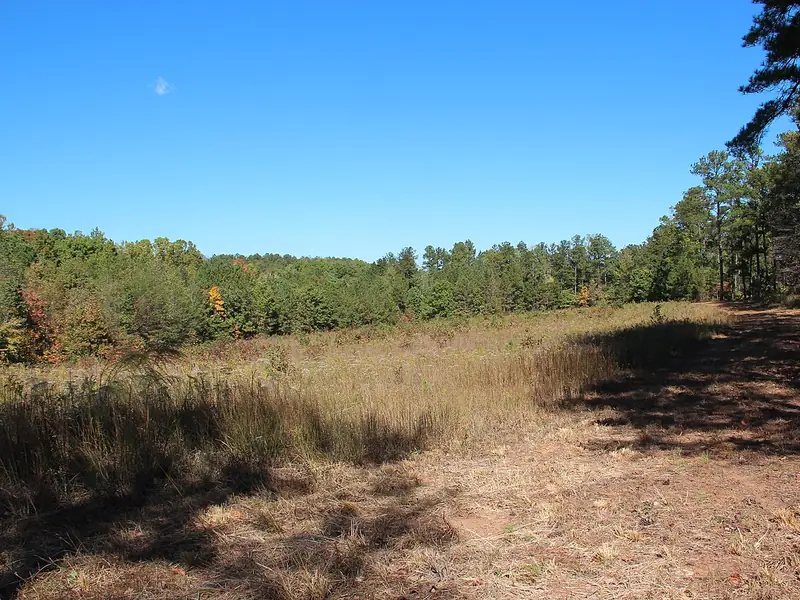 Open field and tree line at Pickett&rsquo;s Mill Battlefield in autumn