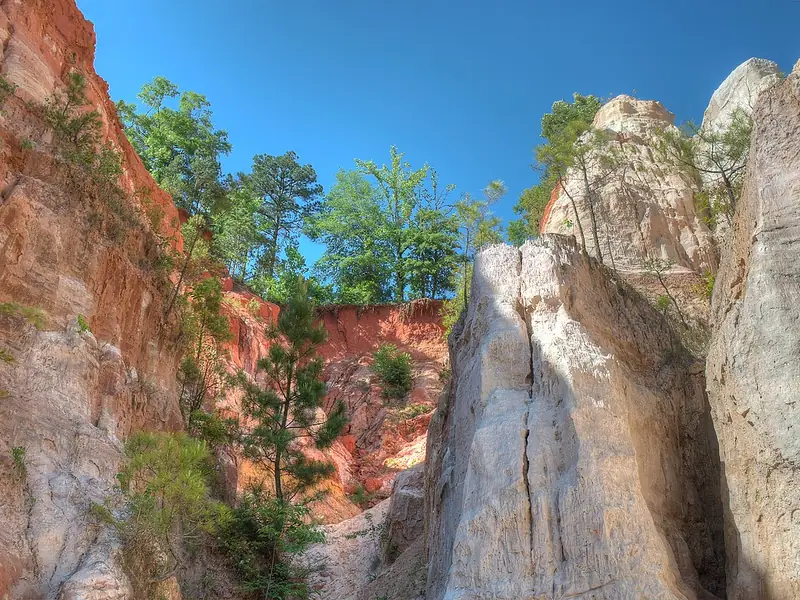 Towering pale and orange canyon walls from the floor of Providence Canyon
