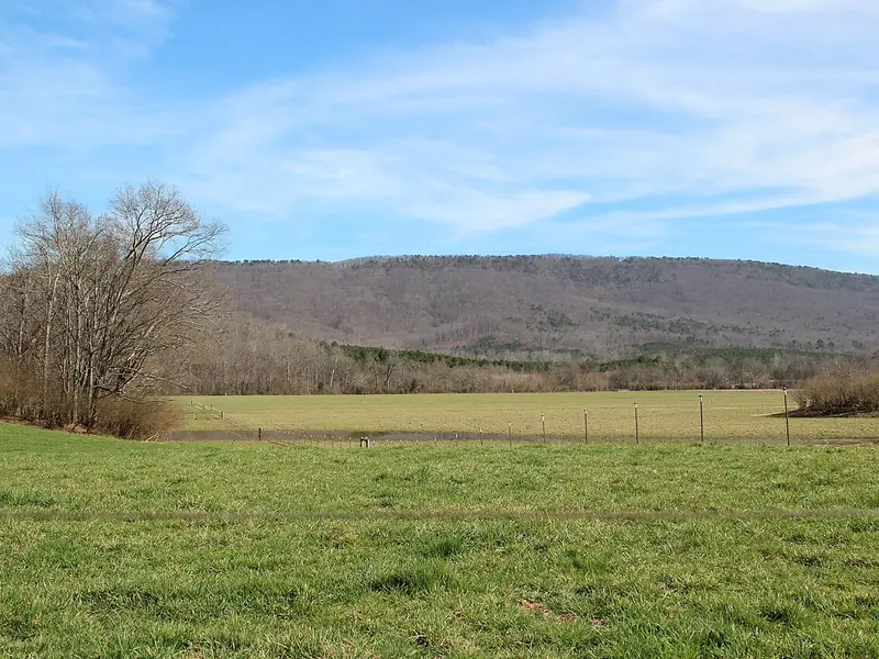 Johns Mountain rising above a green pasture in Walker County