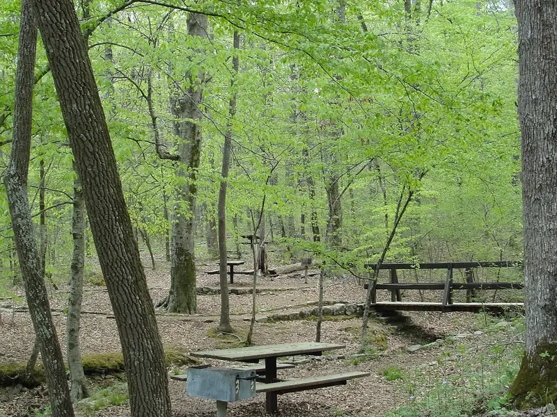 Picnic table in the hardwood forest at the Keown Falls Scenic Area