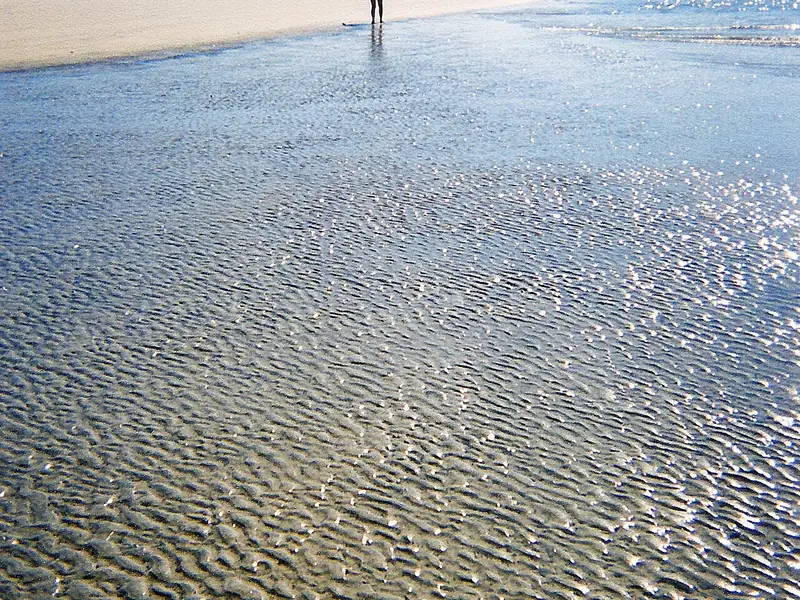 Hiker walking a wide, empty beach at low tide on Sapelo Island