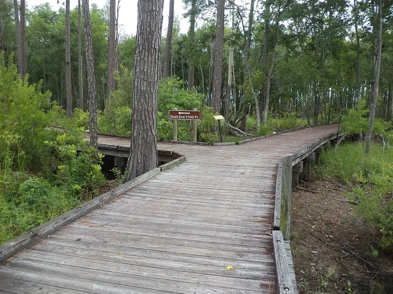 Boardwalk on the Trembling Earth Nature Trail at Okefenokee State Park