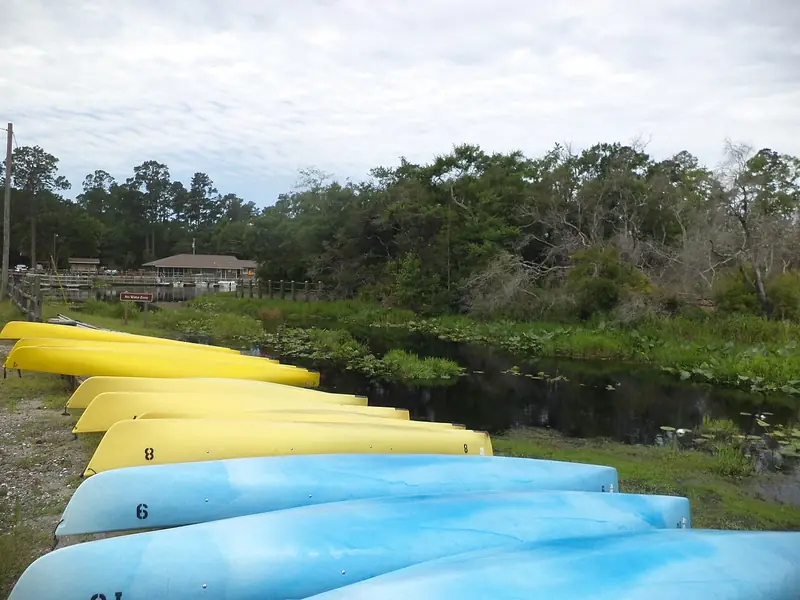 Rental kayaks lined up beside the water at Okefenokee State Park