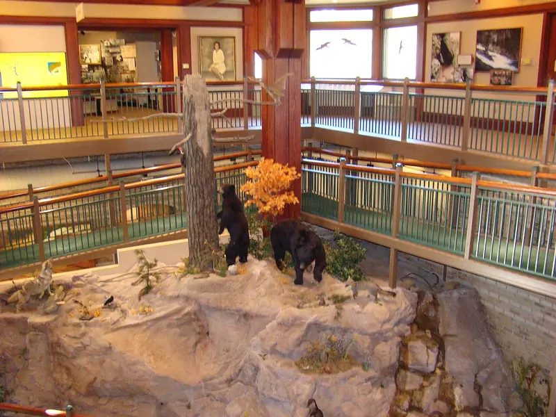 Wildlife exhibits inside the Jane Hurt Yarn Interpretive Center at Tallulah Gorge State Park