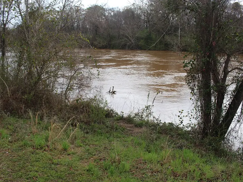 The Ocmulgee River from the Blair Overlook at Amerson River Park in Macon