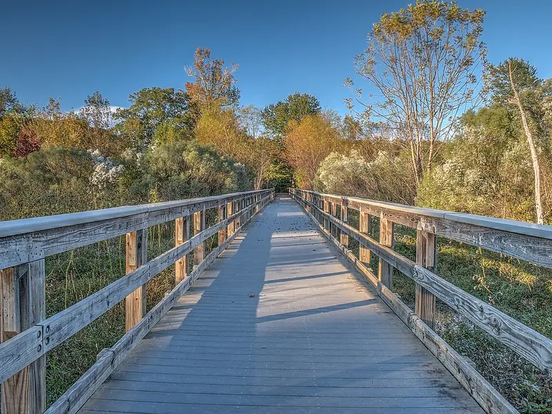 Boardwalk on the river trail at Ocmulgee Mounds National Historical Park