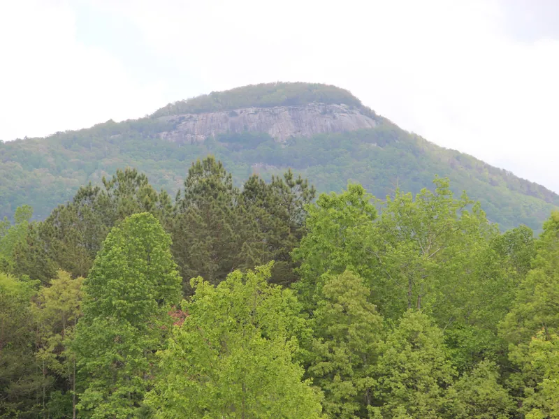 Mount Yonah rising above green fields near Cleveland, Georgia