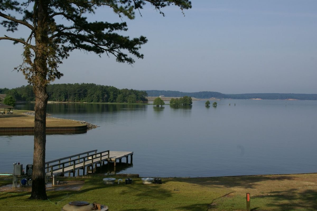 Lake Walter F. George shoreline and dock at George T. Bagby State Park
