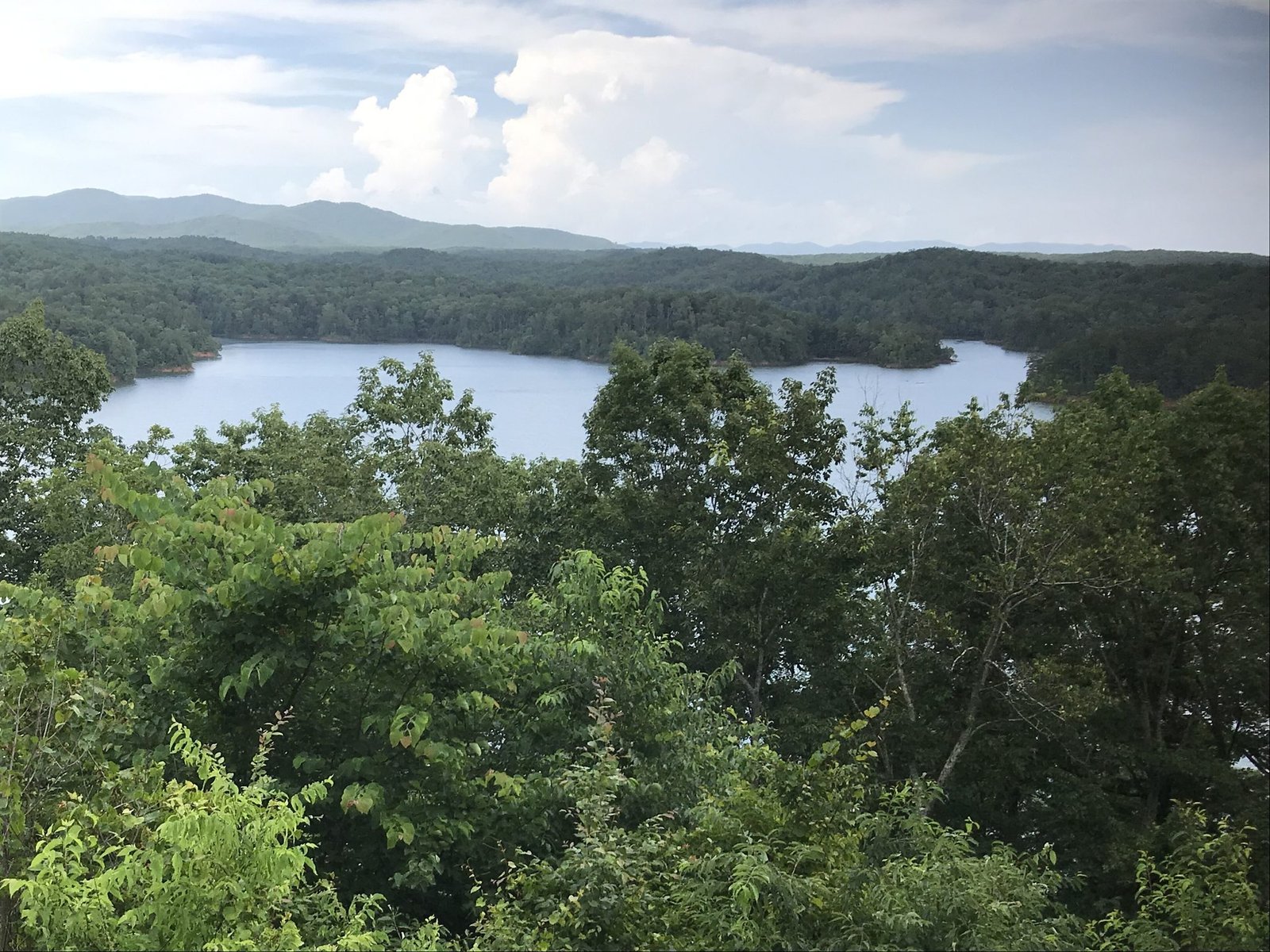 Carters Lake seen from a wooded overlook, with forested ridges and clouds beyond
