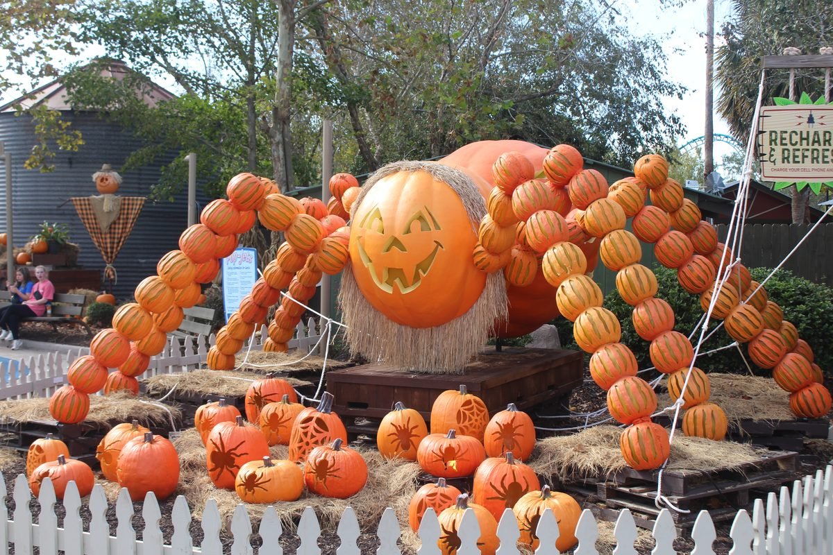 A giant jack-o&rsquo;-lantern spider built from pumpkins at Great Pumpkin LumiNights, Wild Adventures, Valdosta