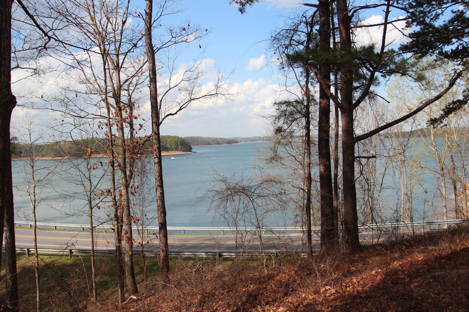 Wide view of Lake Lanier and wooded islands from an overlook framed by pines
