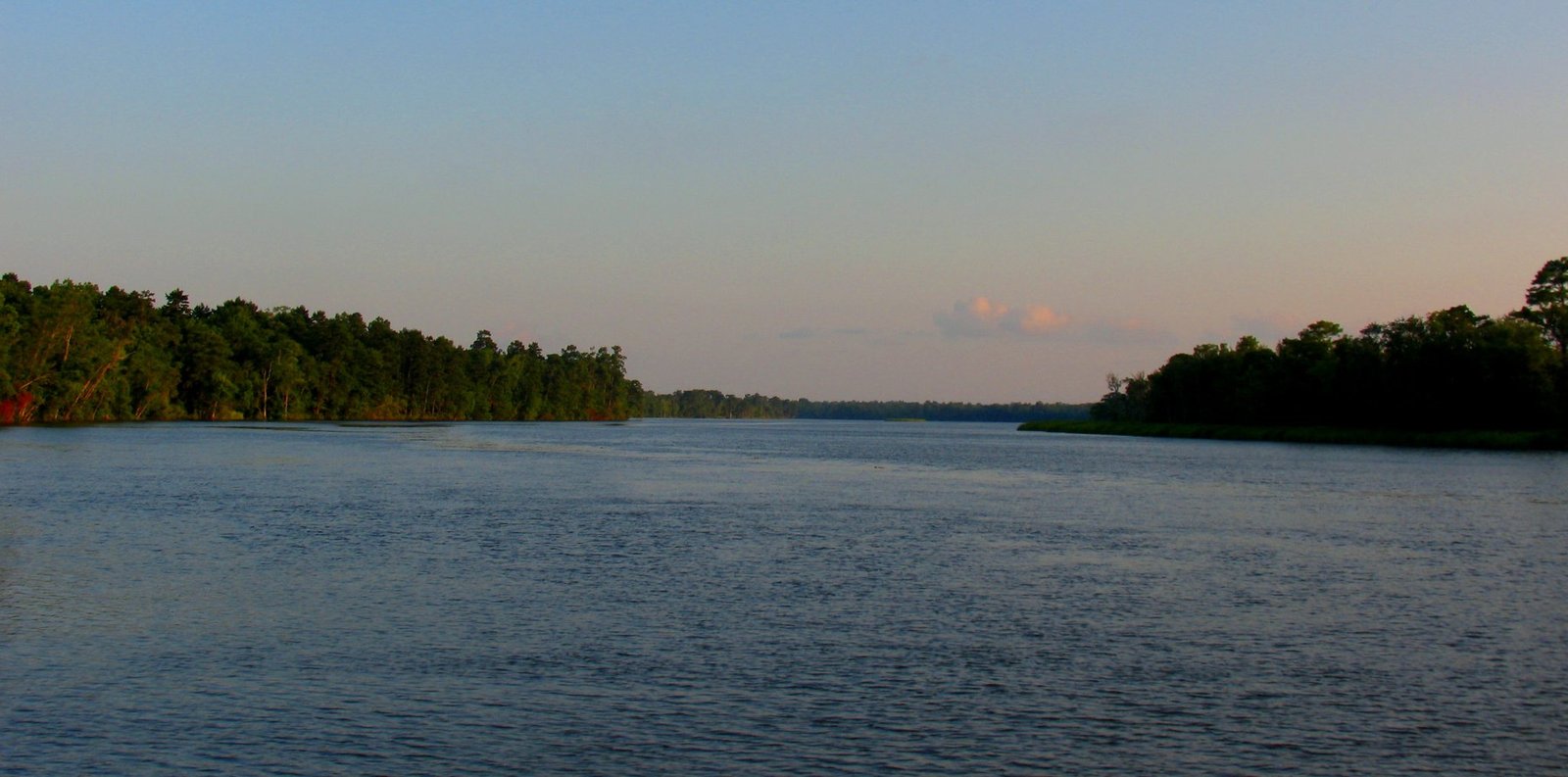 The wide, dark Ogeechee River lined with forest near Savannah at dusk