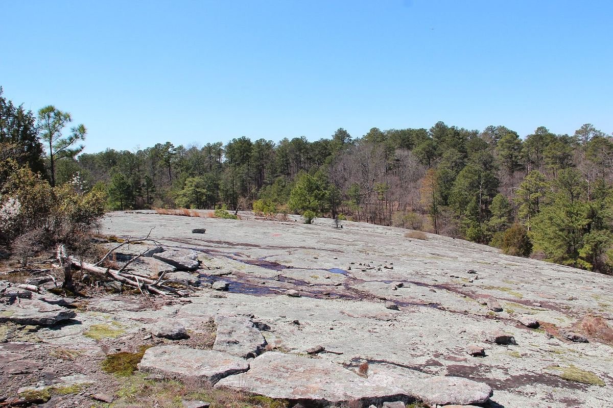 Exposed granite outcrop at Panola Mountain State Park