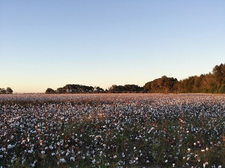 Plantation Trace Travel Region in Georgia