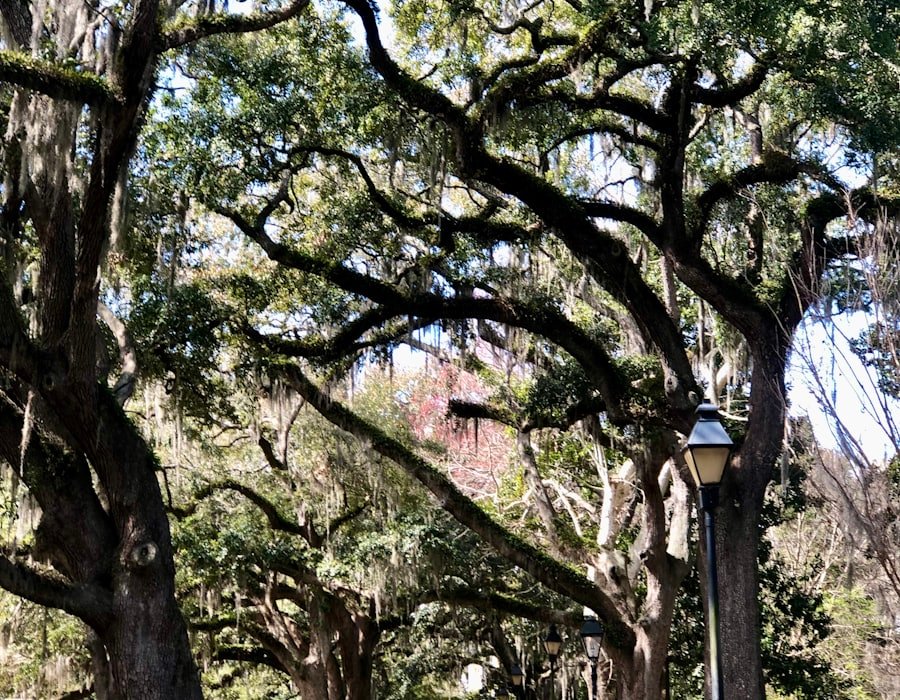 Historic Savannah, Georgia