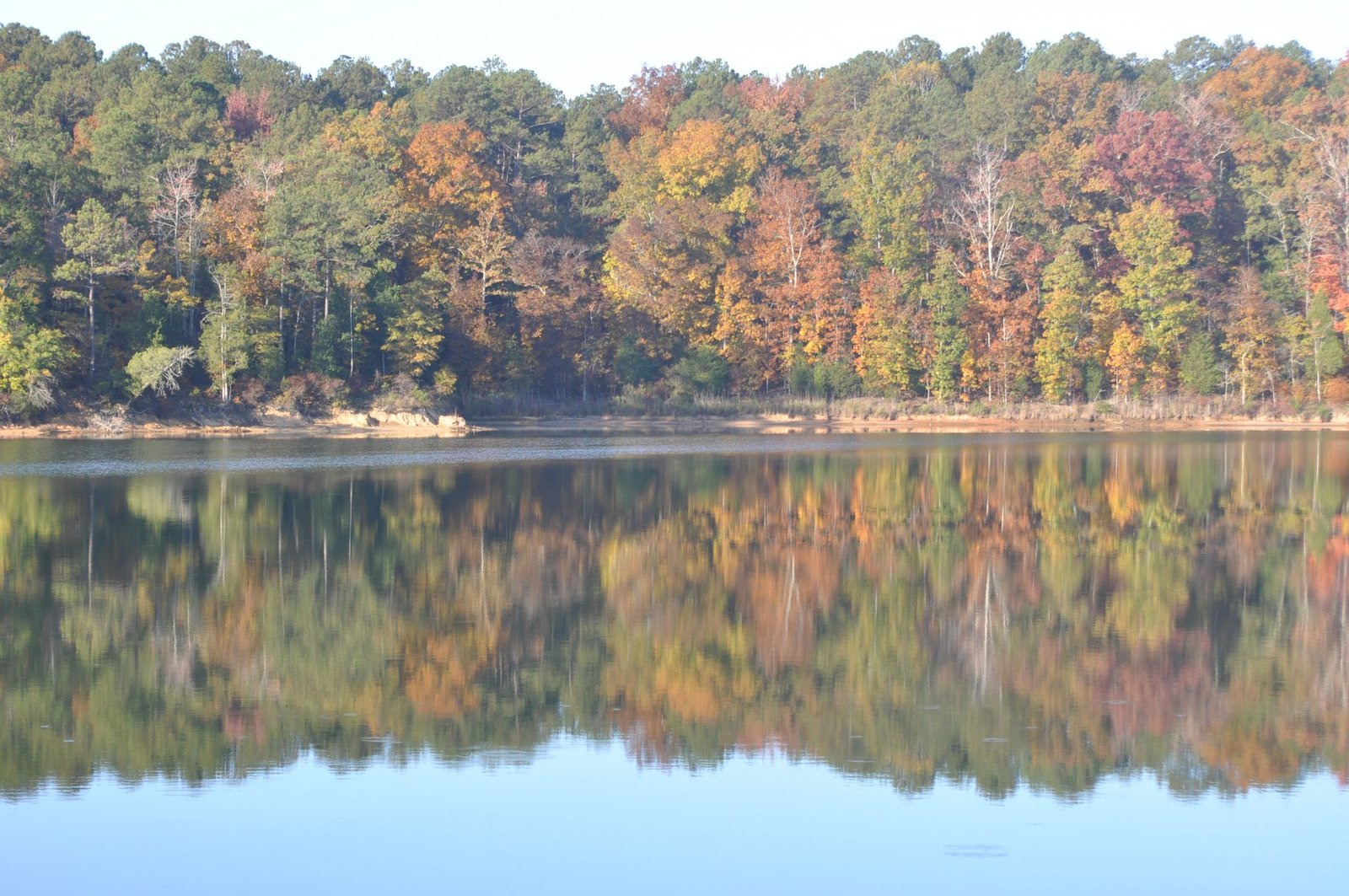 Fall colors reflected in the still water of Richard B. Russell Lake