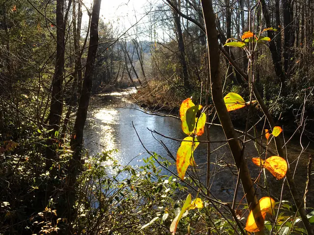 Smithgall Woods State Park
