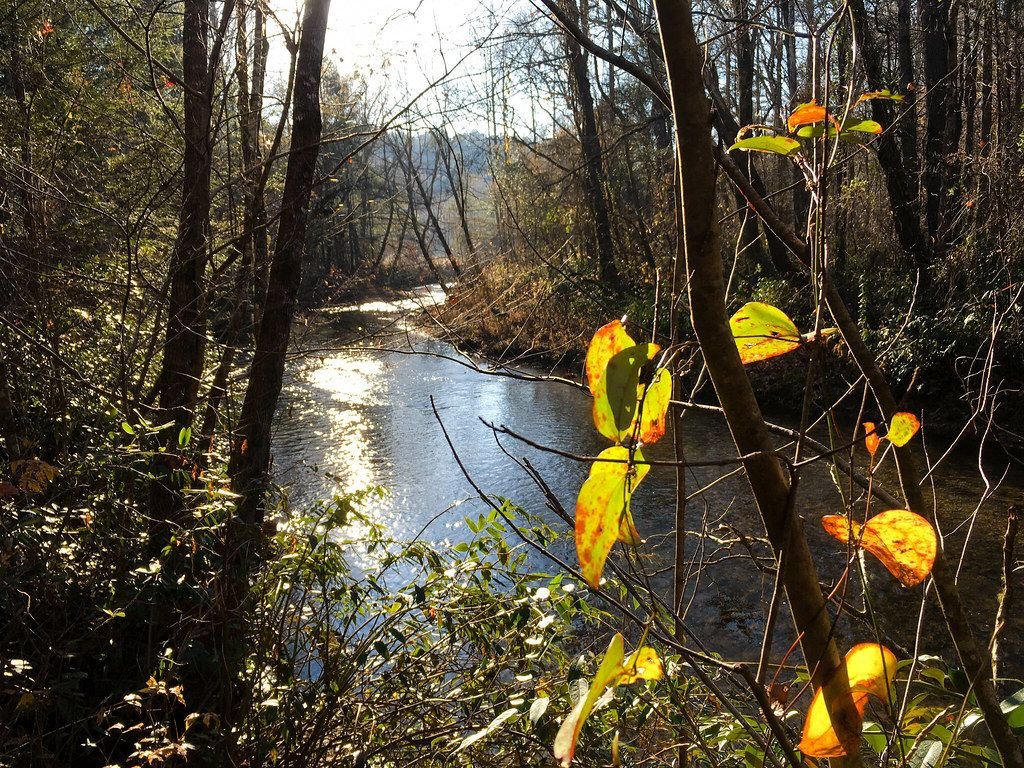 Dukes Creek at Smithgall Woods State Park near Helen, Georgia