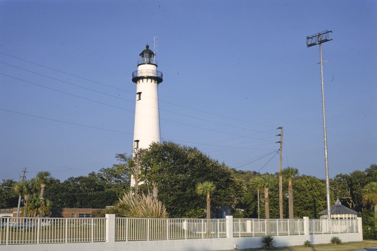 The white St. Simons Lighthouse above palms and oaks at the south end of the island