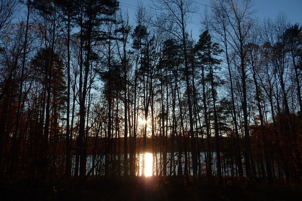 Sun setting over Lake Hartwell through tall trees at Tugaloo State Park