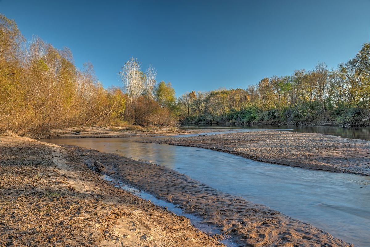 Sandbar and wooded banks along the Ocmulgee River at Macon