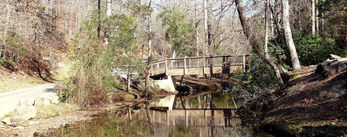 Wooden footbridge over Rice's Creek at Victoria Bryant State Park