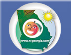 Welcome to www.n-georgia.com