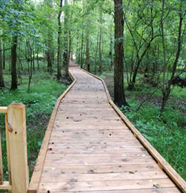 Alcovy Conservation Center Boardwalk