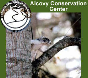 Alcovy Conservation Center