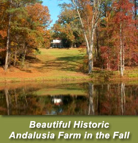 Andalusia Farm in the fall