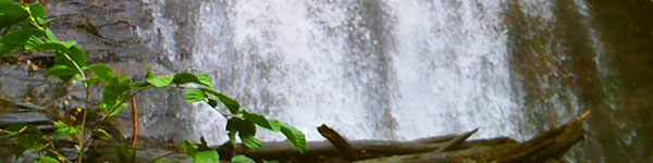 Anna Ruby Falls Waterfall Closeup