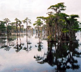 Banks Lake National Wildlife Refuge