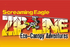 Zipline Logo