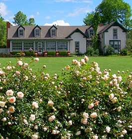 Barnsley Gardens