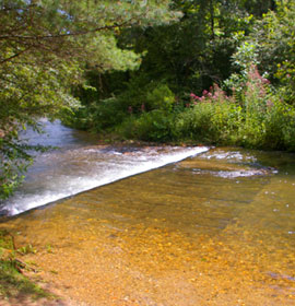 Creek view from Bay's Bridge