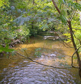 View of Duke's Creek from Bay's Bridge