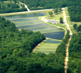 Bowen Mill Fish Hatchery