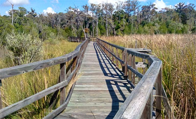 Cay Creek Wetlands