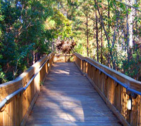 Center for Wildlife Education bridge