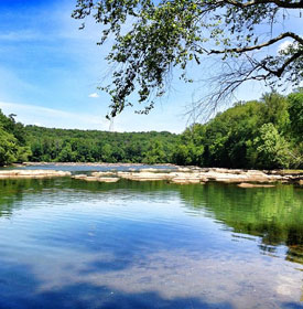 Chattahoochee National Forest